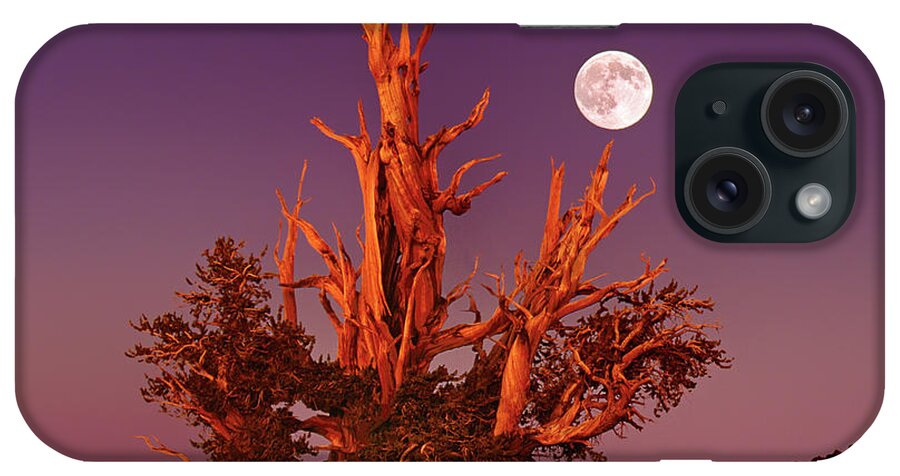 Dave Welling iPhone Case featuring the photograph Full Moon Bristlecone Pine White Mountains California by Dave Welling