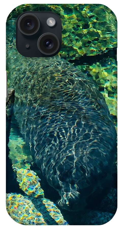 Manatee Blue Spring State Park Florida iPhone Case featuring the photograph Fun Stuff 3 by John Anderson