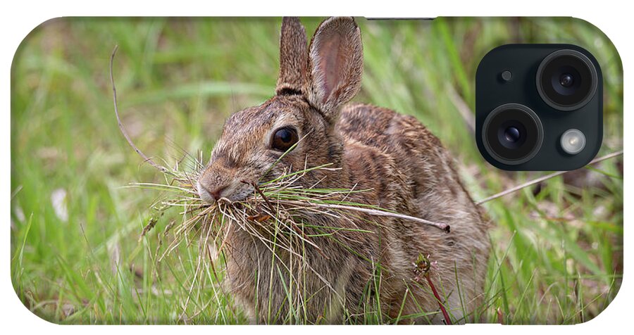 Eastern Cottentail Rabbit iPhone Case featuring the photograph Gathering For The Nest by Dale Kincaid