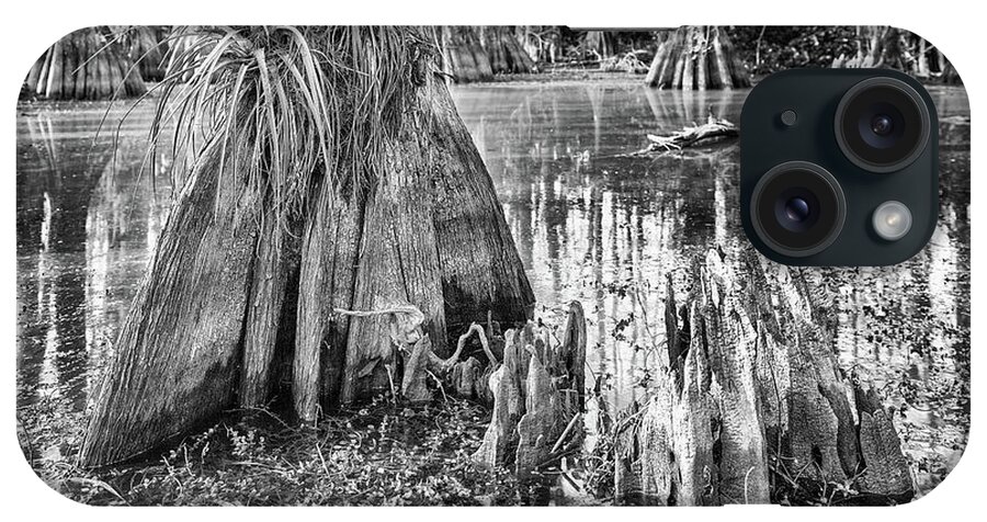 Big Cypress National Preserve iPhone Case featuring the photograph Gator Hook Dead Cypress by Rudy Wilms