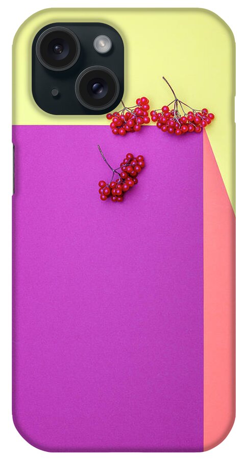 Abstract iPhone Case featuring the photograph Geometric still life with red viburnum berries by Valentin Ivantsov