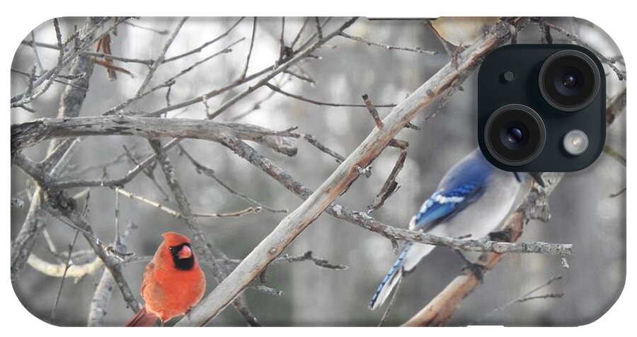 Cardinals iPhone Case featuring the photograph Getting Along by Eunice Miller