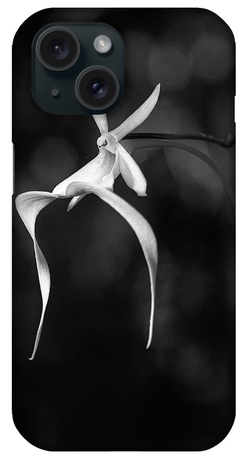 Black & White iPhone Case featuring the photograph Ghost Orchid 2 BW by Rudy Wilms