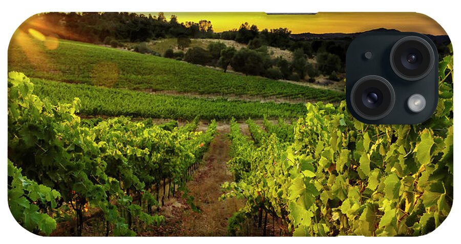 Vineyard iPhone Case featuring the photograph Gianelli Vineyard 2 by Gary Johnson