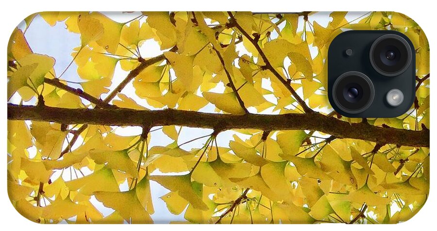 Ginko iPhone Case featuring the photograph Ginko Branch 1-1 by J Doyne Miller