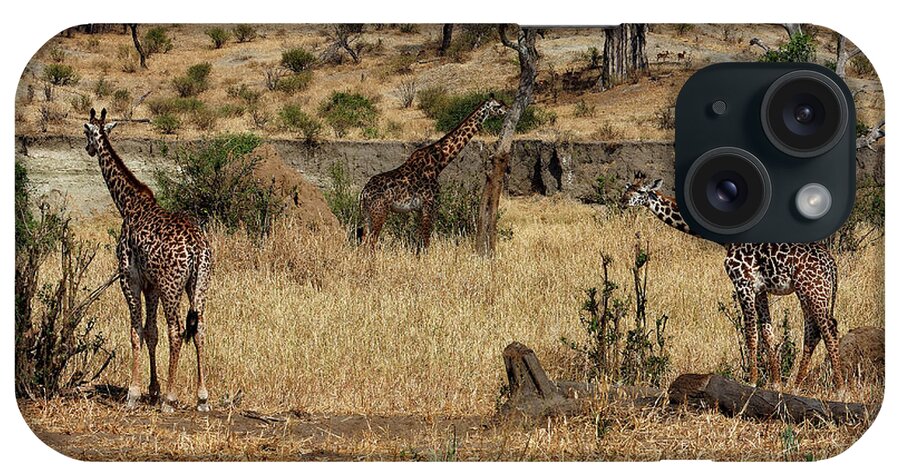 3 Giraffes iPhone Case featuring the photograph Giraffes Scene by Sally Weigand