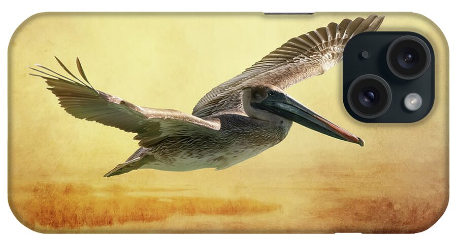 Florida Keys iPhone Case featuring the photograph Gliding Home by Ed Taylor