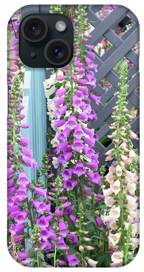 Digitalis Purpurea iPhone Case featuring the photograph Glorious Foxgloves by Tim Gainey