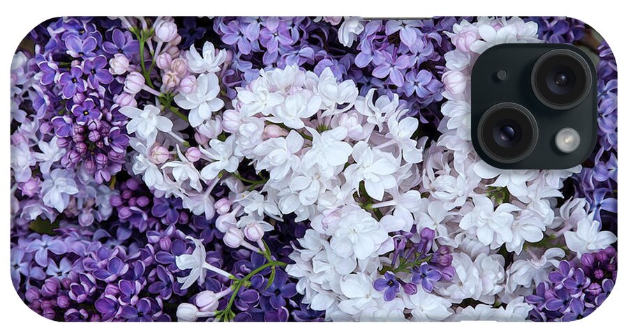 Face Mask iPhone Case featuring the photograph Glorious Lilacs by Theresa Tahara