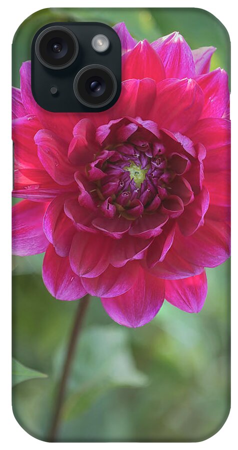 Flowers iPhone Case featuring the photograph Glowing Dahlia by Robert Fawcett