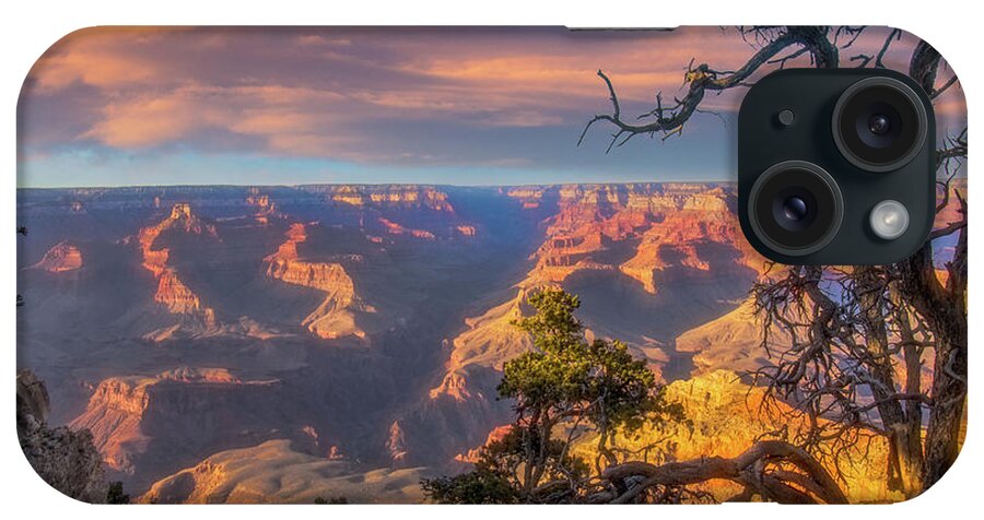 Arizona iPhone Case featuring the photograph Gnarled juniper on Canyon Rim by Jeff Folger