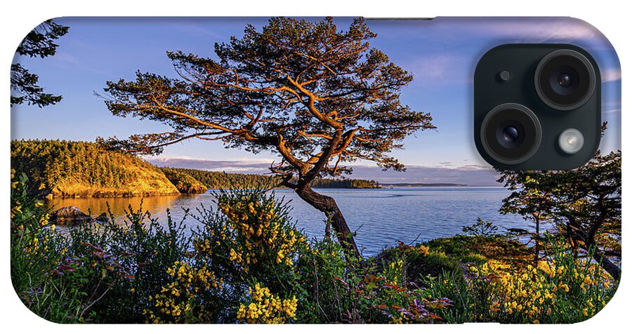 Tree iPhone Case featuring the photograph Gnarly Tree by Gary Skiff