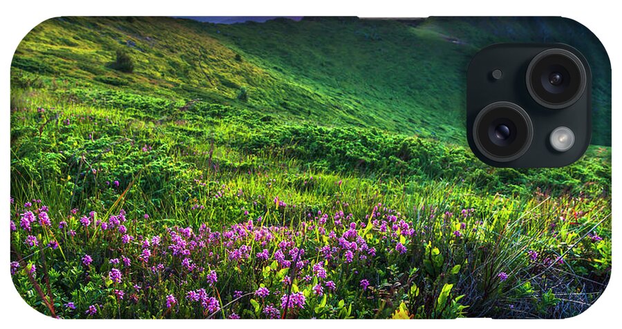 Balkan Mountains iPhone Case featuring the photograph Goat Wall by Evgeni Dinev