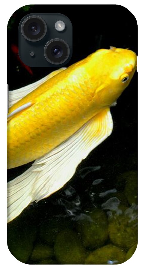 Gold Koi Fish Photograph iPhone Case featuring the photograph Gold Koi Fish by Expressions By Stephanie