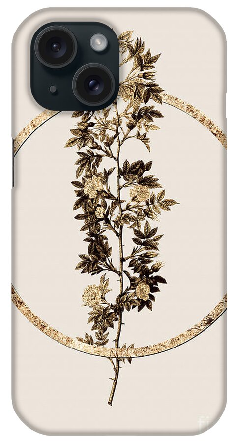 Vintage iPhone Case featuring the painting Gold Ring Cuspidate Rose Botanical Illustration Black and Gold n.0383 by Holy Rock Design