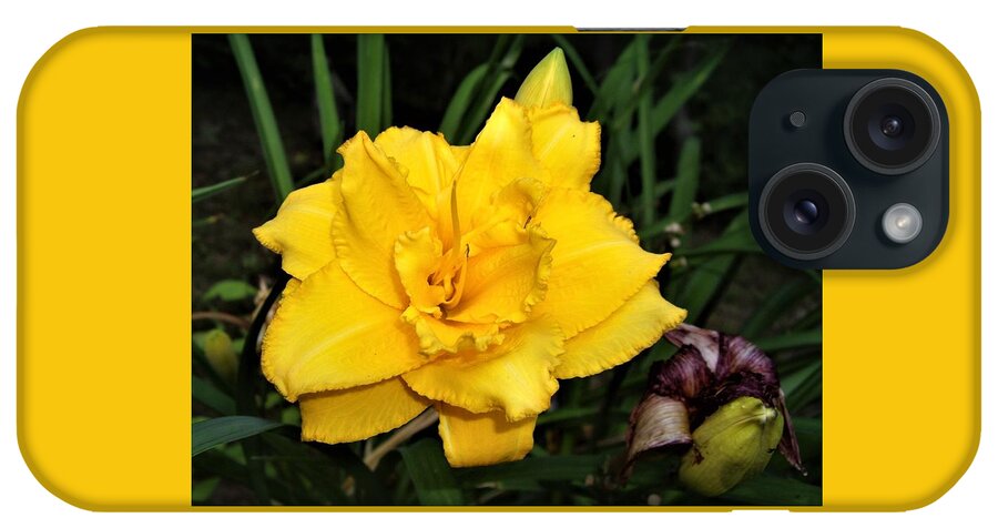 Flower iPhone Case featuring the photograph Gold Ruffled Day Lily by Nancy Ayanna Wyatt