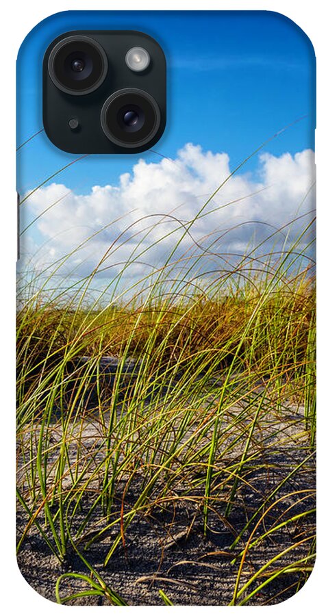 Clouds iPhone Case featuring the photograph Golden Dune Grasses II by Debra and Dave Vanderlaan
