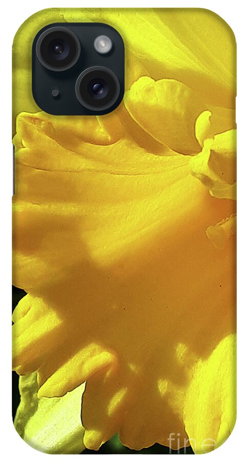 Daffodil iPhone Case featuring the photograph Golden Glory by Brenda Kean