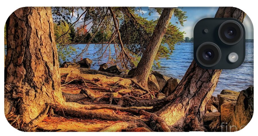 Lake iPhone Case featuring the photograph Golden Hour Trees at Lake Norman by Amy Dundon