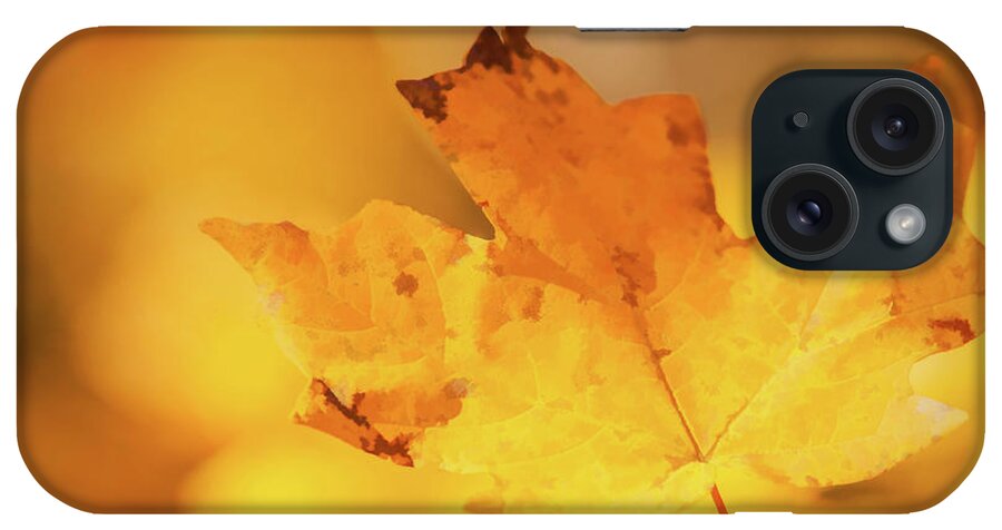 Changing Leaves iPhone Case featuring the photograph Golden by Linda Shannon Morgan