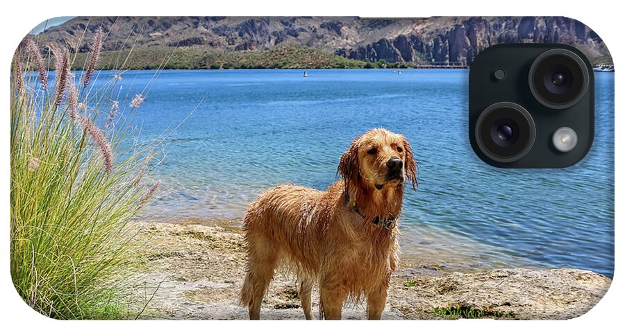 Arizona iPhone Case featuring the photograph Golden Retriever standing by Lake by Dawn Richards