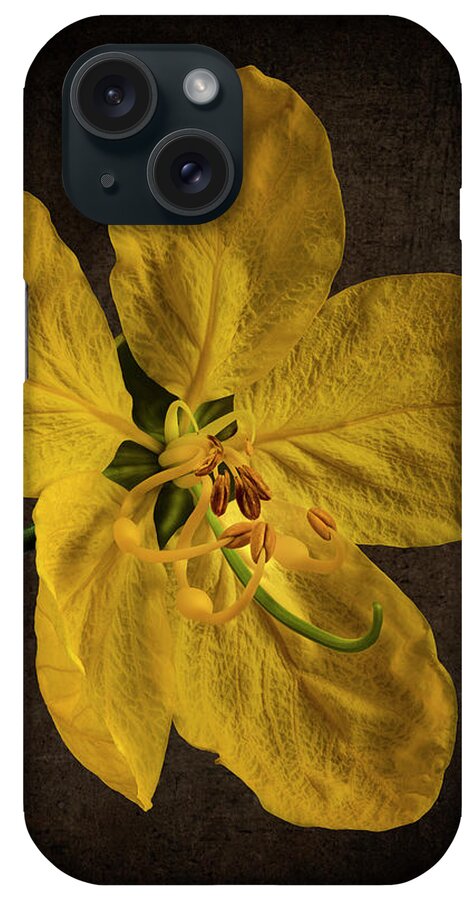 Golden Shower Flower iPhone Case featuring the photograph Golden Shower Flower by Endre Balogh