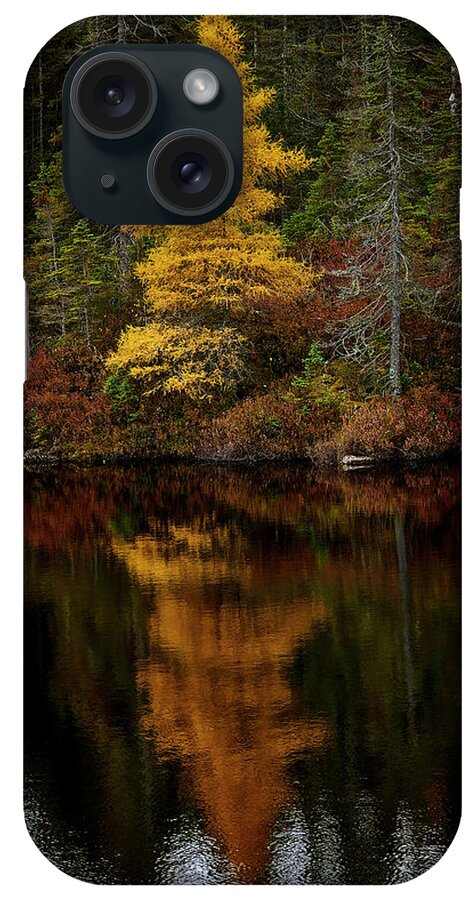 Canada iPhone Case featuring the photograph Golden Tamarack by Doug Gibbons