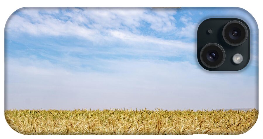 Wheat Field iPhone Case featuring the photograph Golden wheat field ready for harvesting. Rural grainfield farmland against cloud sky by Michalakis Ppalis