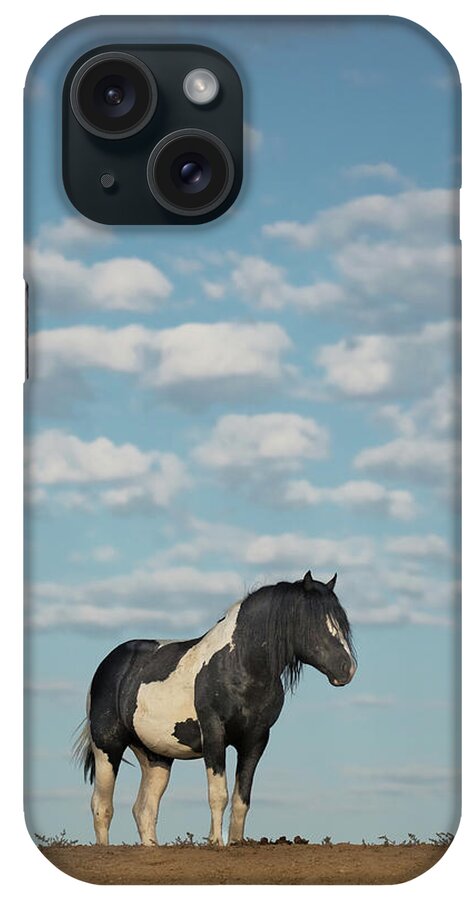 Wild Horse iPhone Case featuring the photograph Golden Years by Sandy Sisti