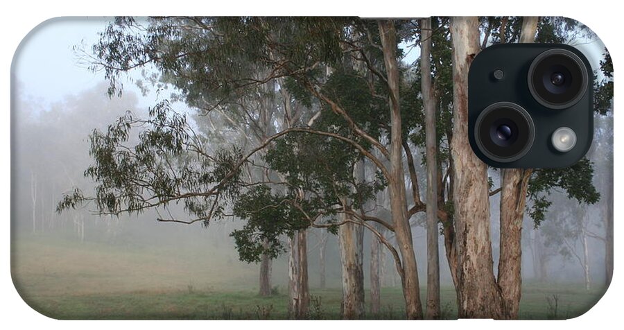 Tree iPhone Case featuring the photograph Good Morning Gum Trees by Maryse Jansen
