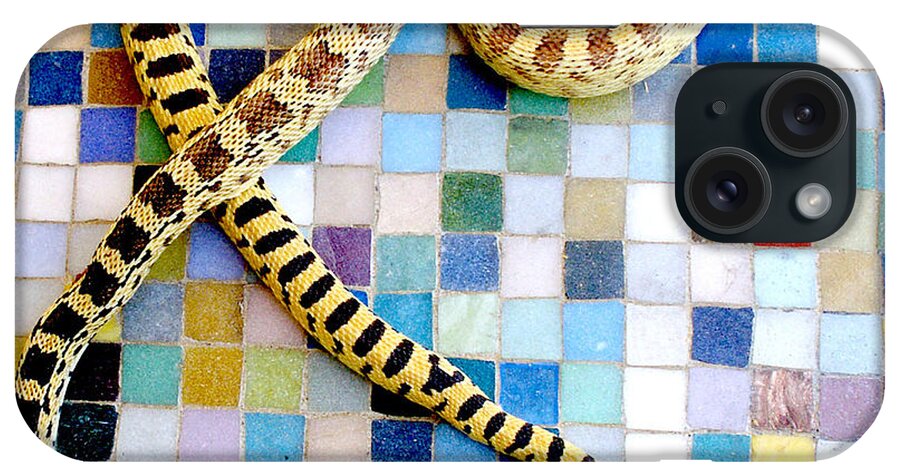 Snake iPhone Case featuring the photograph Gopher Snake by Perry Hoffman
