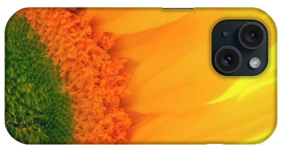 Sunflower iPhone Case featuring the photograph Gorgeous Sunflower Macro by Johanna Hurmerinta