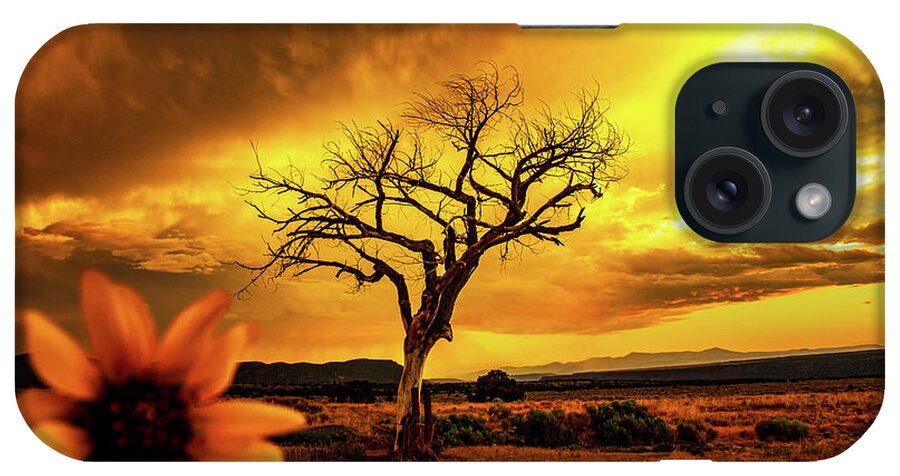 Taos iPhone Case featuring the photograph Gorgeous Sunset and sunflower with the Taos Welcome Tree by Elijah Rael