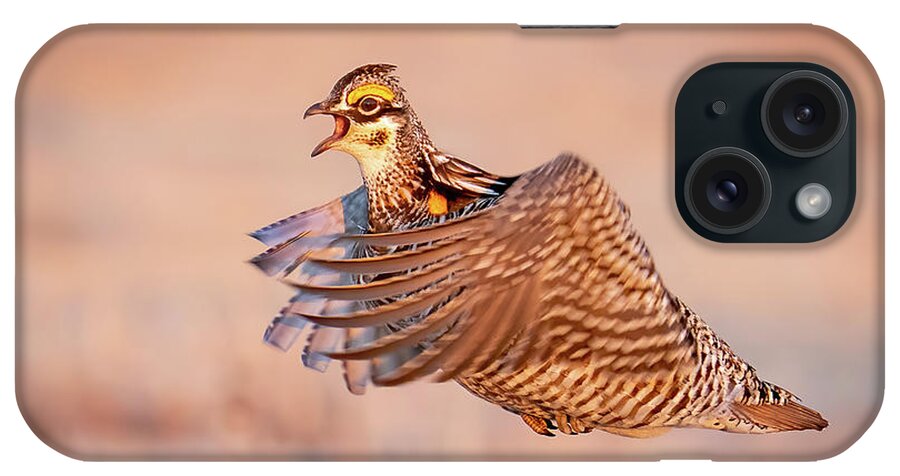 Greater Prairie Chickens iPhone Case featuring the photograph Gotta fight that other Prairie Chicken by Judi Dressler