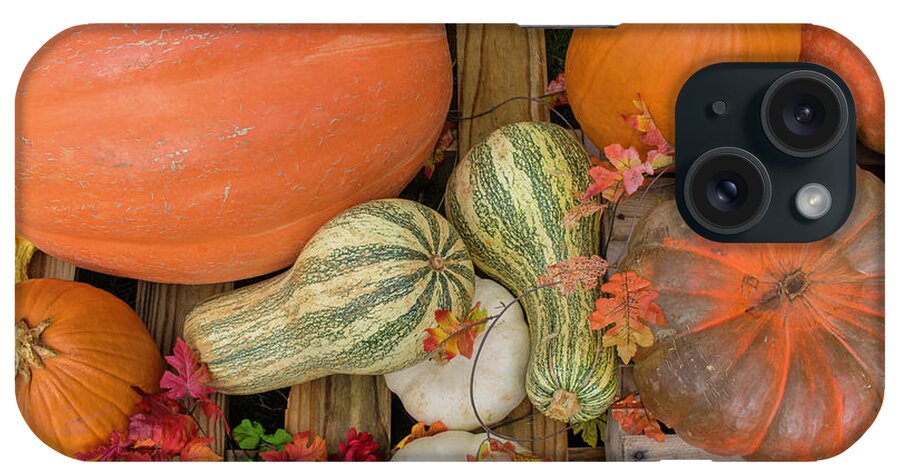 Seasonal iPhone Case featuring the photograph Gourd Harvest by Robert Wilder Jr