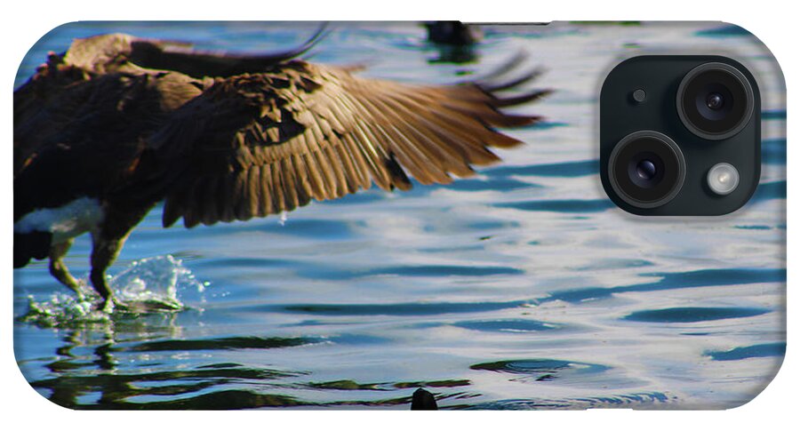 Birds iPhone Case featuring the photograph Grace of the Water Dance by Marcus Jones