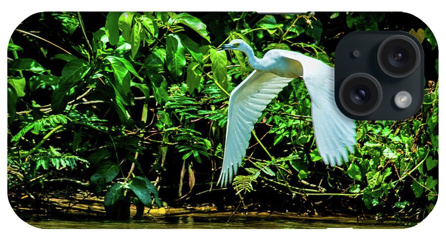 Great White Egret iPhone Case featuring the photograph May You Find Peace by Leslie Struxness