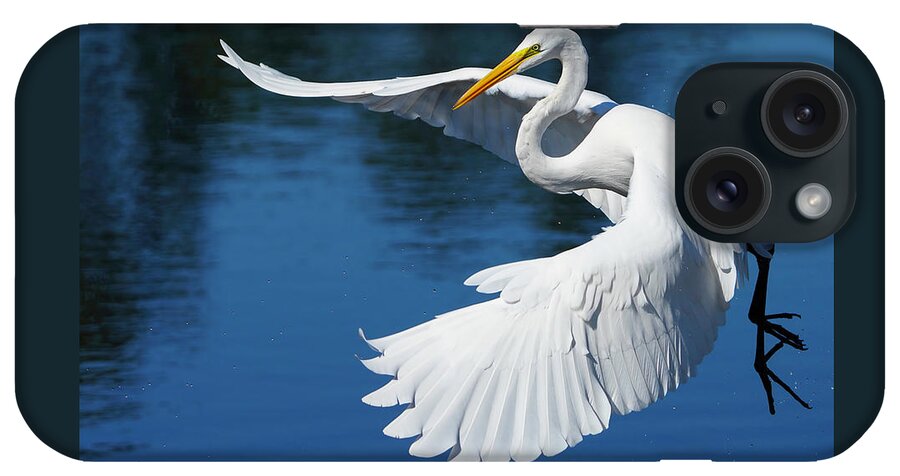 Birds iPhone Case featuring the photograph Graceful Great Egret by Larry Marshall