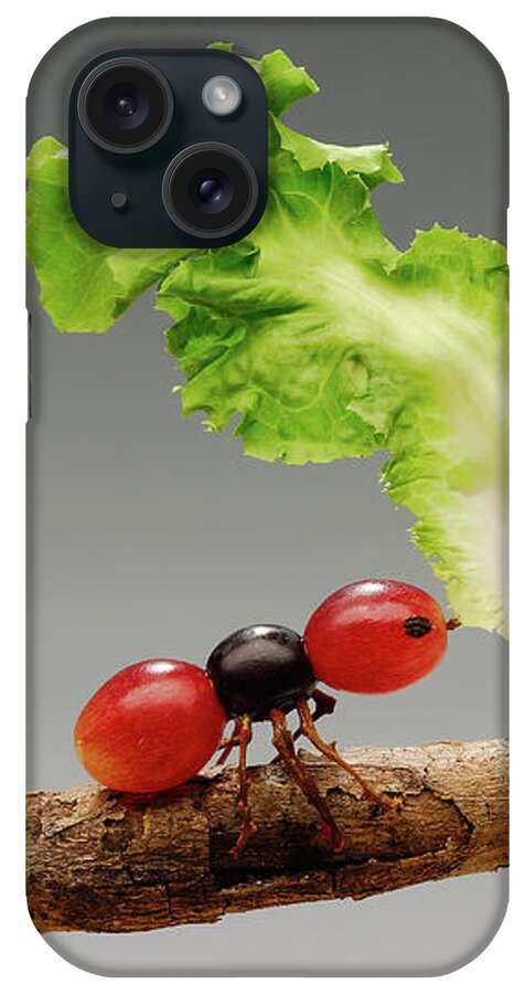 Ant iPhone Case featuring the photograph Grape Ant by Cacio Murilo De Vasconcelos
