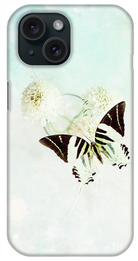 White iPhone Case featuring the photograph Graphium Androcles Swordtail Swallowtail Butterfly over Blue by Stephanie Frey