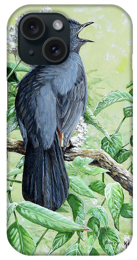 Wildlife Art iPhone Case featuring the painting Gray Catbird by Barry Kent MacKay