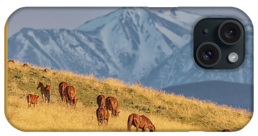 Nevada iPhone Case featuring the photograph Grazing at Sunset by Marc Crumpler