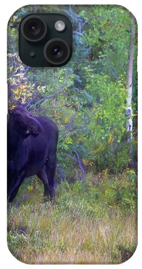 Colorado iPhone Case featuring the photograph Grazing Lady by Lana Trussell