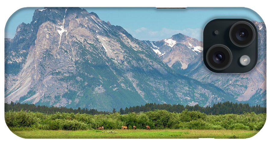 Elk iPhone Case featuring the photograph Grazing Teton Elk by Tara Krauss