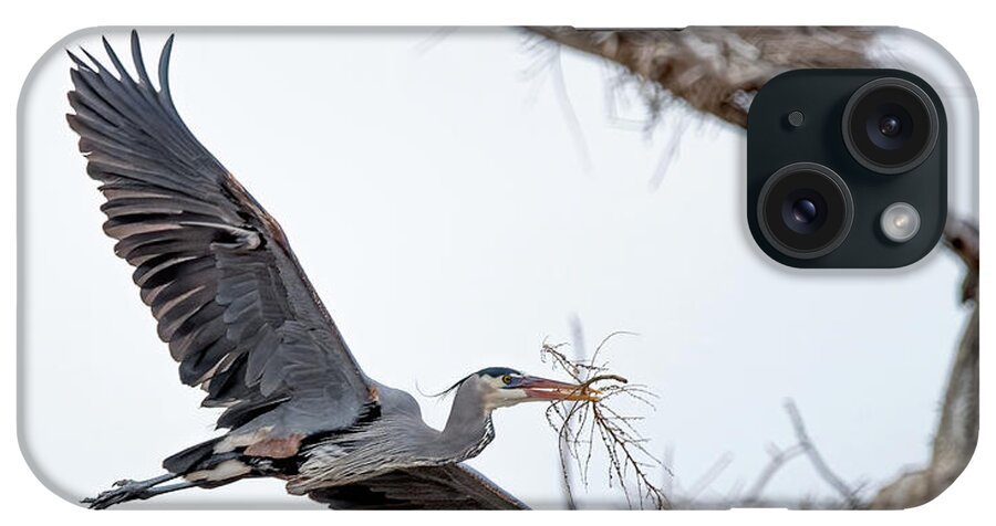 Stillwater Wildlife Refuge iPhone Case featuring the photograph Great Blue Heron 4 by Rick Mosher