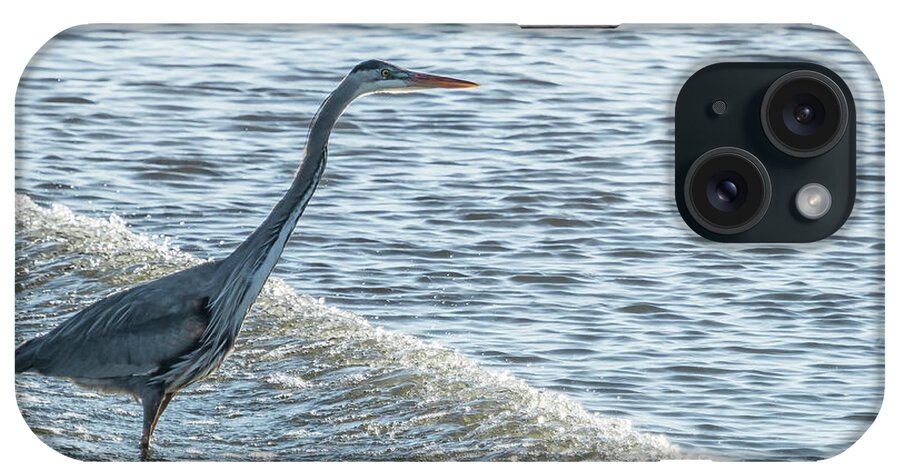Great Blue Heron iPhone Case featuring the photograph Great Blue Heron and Wave by Belinda Greb