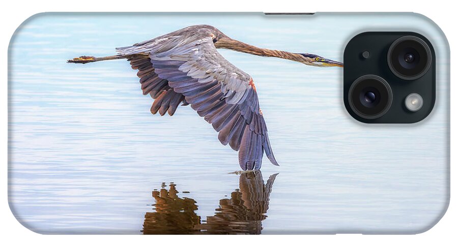Great Blue Heron iPhone Case featuring the photograph Great Blue Heron Flying by Susan Rissi Tregoning