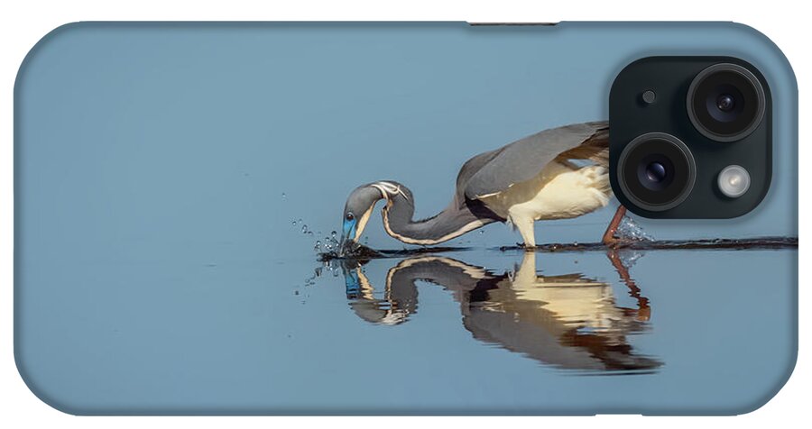 Great Blue Heron iPhone Case featuring the photograph Great Blue Heron Getting Breakfast by Dorothy Cunningham