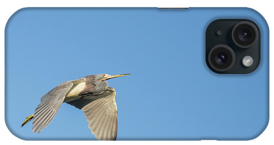  iPhone Case featuring the photograph Great blue heron by Puttaswamy Ravishankar
