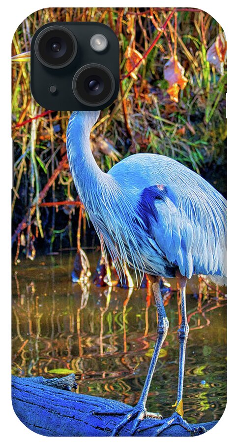 Water Fowl iPhone Case featuring the photograph Great Blue Heron Vancouver by Allan Van Gasbeck